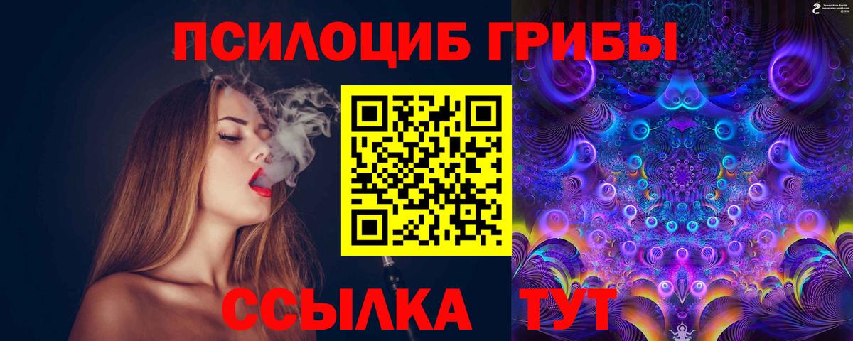 Галлюциногенные грибы Psilocybine cubensis Нижний Новгород