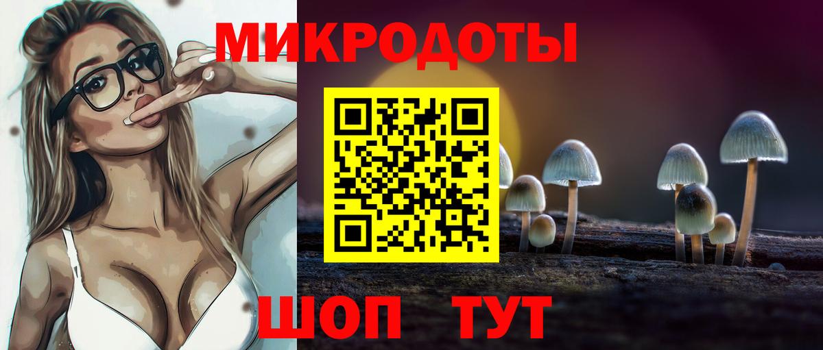 Нижний Новгород  Галлюциногенные грибы GOLDEN TEACHER  Вход с VPN 